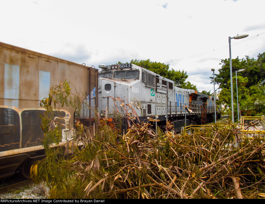 VLI 6043